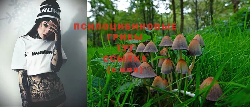 Галлюциногенные грибы MAGIC MUSHROOMS  ОМГ ОМГ зеркало  Железноводск 